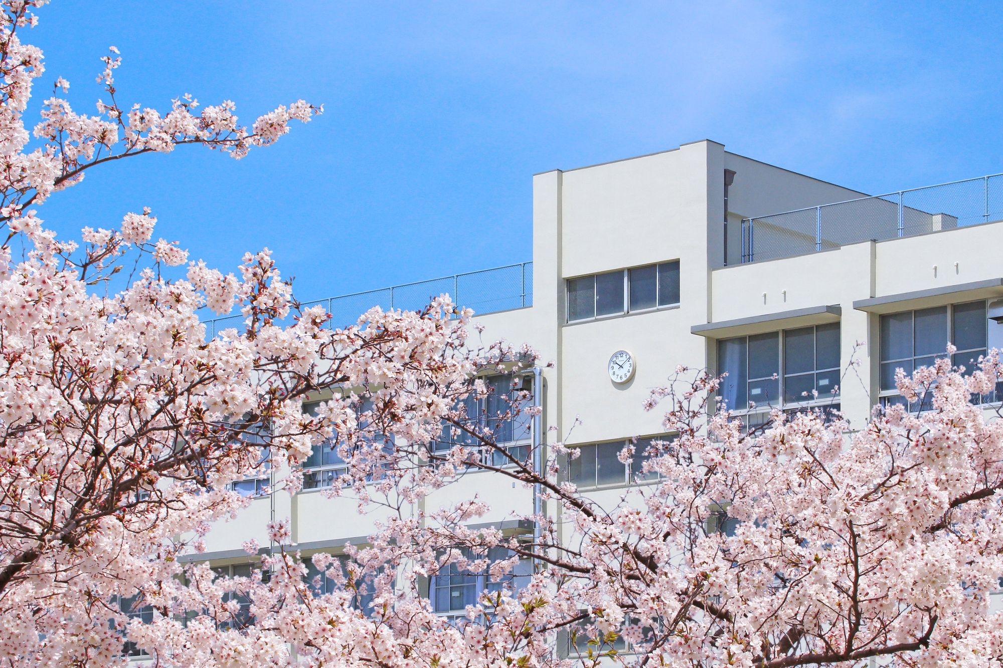 希望する学区（小学校・中学校）を軸にエリアを絞る